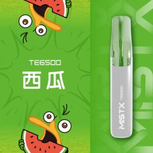 Mist X 鴨嘴獸 超萌造型 6500 口抽超久 冰爽水果口味 涼感入喉 可充電設計不怕沒電 質感玩家的潮流補給 台灣現貨
