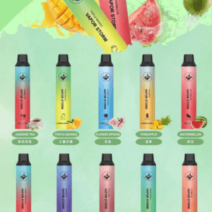 Vapor Storm 風暴 5000 Mesh 芯口感穩定爆發 650mAh 穩定長效動力 大容量果汁一機搞定 10ml 巨量裝載 台灣現貨