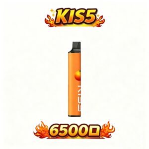 KIS5 鎧斯 6500 抛棄式主機 首創磁吸雙芯 穩定輸出不衰減 質感玩家的進階首選 升級不漏油 抽起來超順 台灣現貨